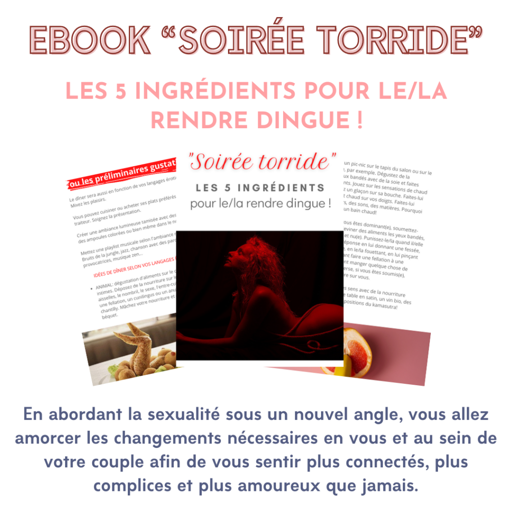 ebook gratuit soirée torride st-valentin